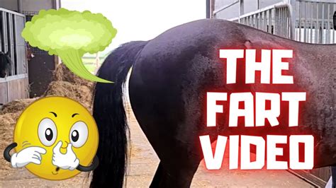 farting porno|Fart Porn Videos 